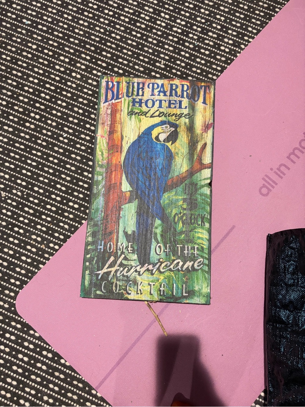 Blue Parrot Wall Art Sign